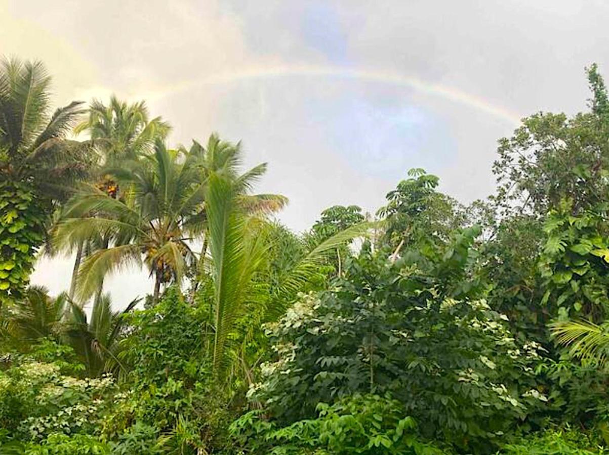 Pahoa Seaside House And Aloha Bungalow מראה חיצוני תמונה