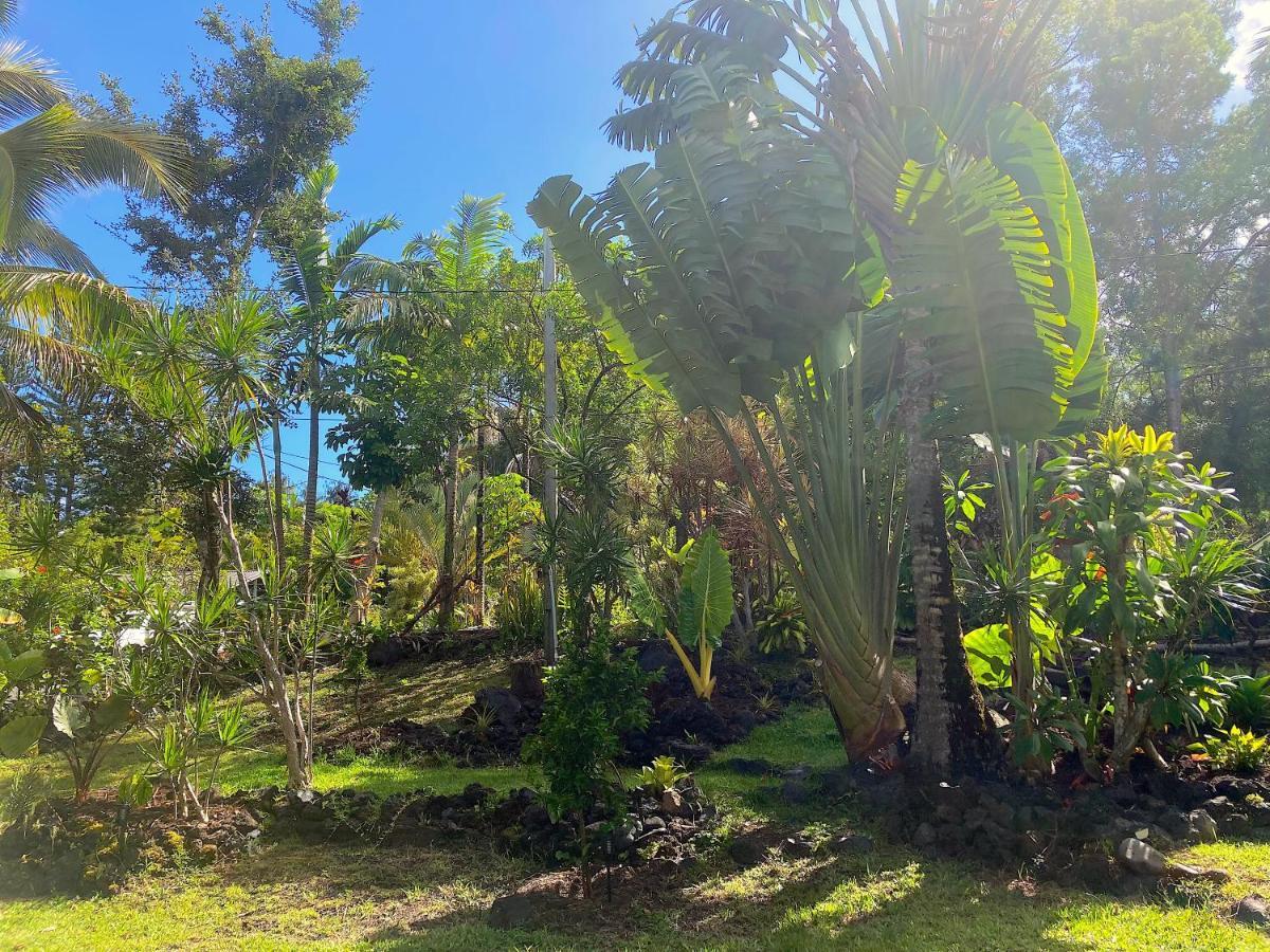 Pahoa Seaside House And Aloha Bungalow מראה חיצוני תמונה